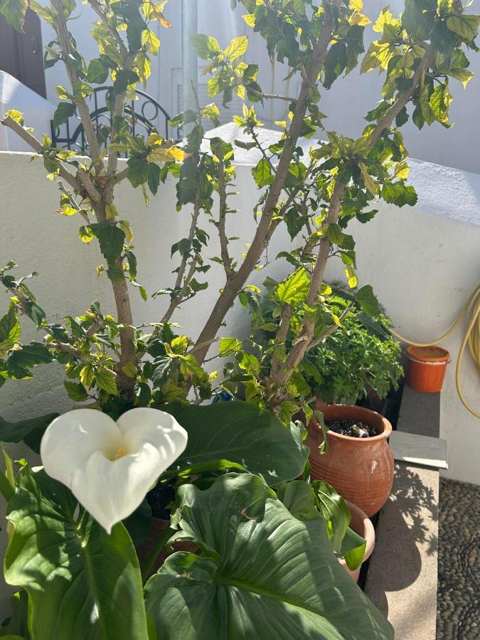 New Lindos Studio 45 Renovated 외부 사진